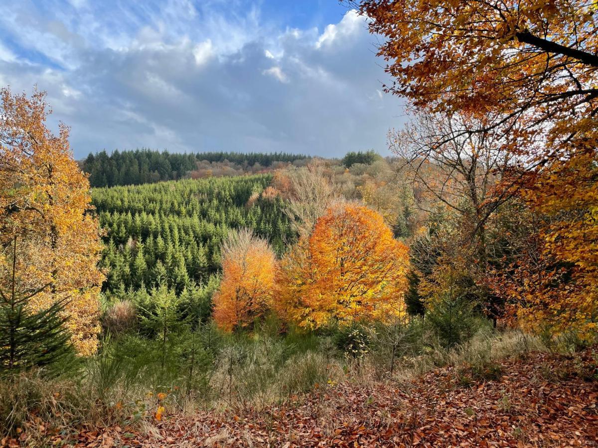 Au Fil Du Temps Villa Fauvillers Buitenkant foto
